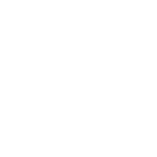 Logo Spot Lumiere Blanc
